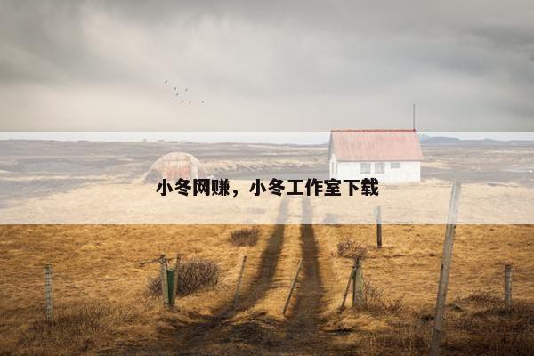 小冬网赚，小冬工作室下载