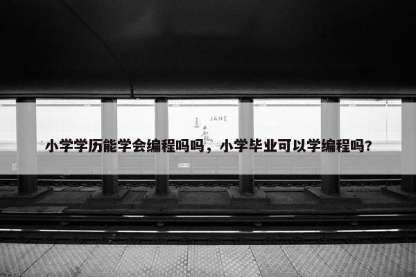 小学学历能学会编程吗吗，小学毕业可以学编程吗?