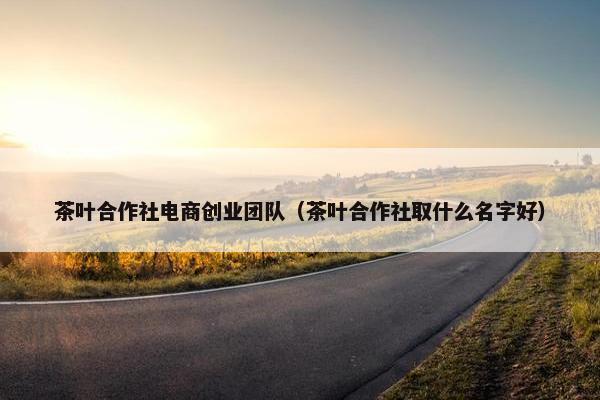 茶叶合作社电商创业团队（茶叶合作社取什么名字好）
