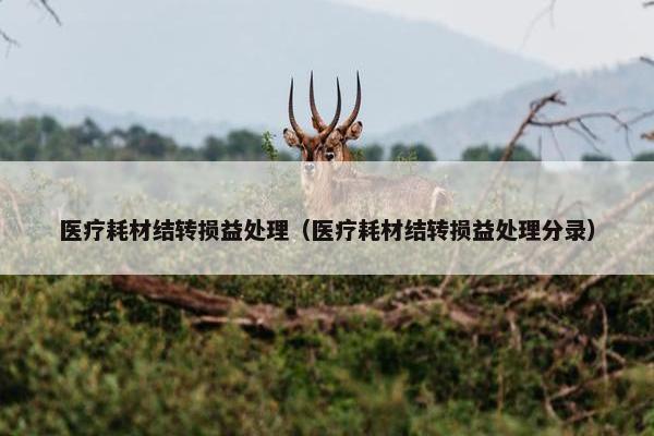 医疗耗材结转损益处理（医疗耗材结转损益处理分录）