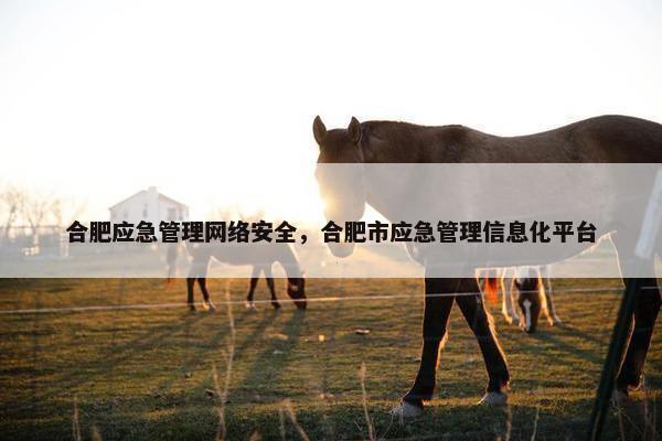 合肥应急管理网络安全，合肥市应急管理信息化平台