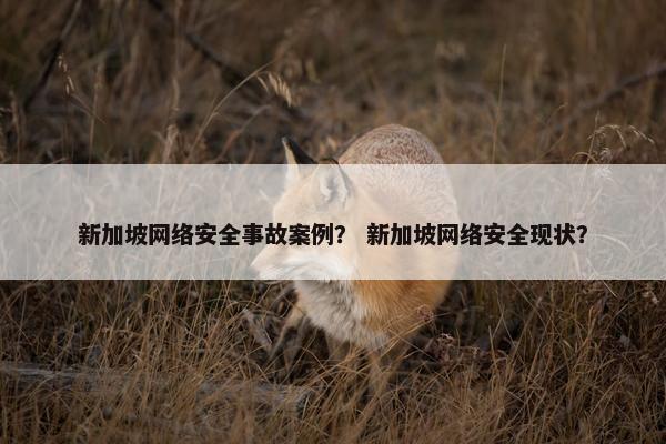新加坡网络安全事故案例？ 新加坡网络安全现状？