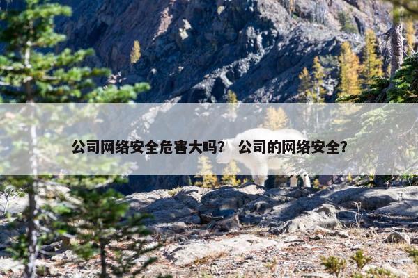 公司网络安全危害大吗？ 公司的网络安全？