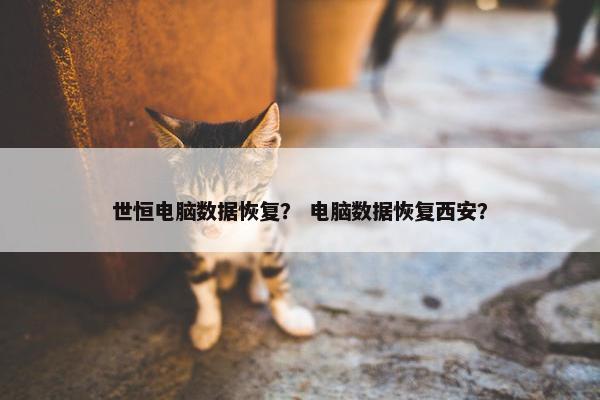世恒电脑数据恢复？ 电脑数据恢复西安？