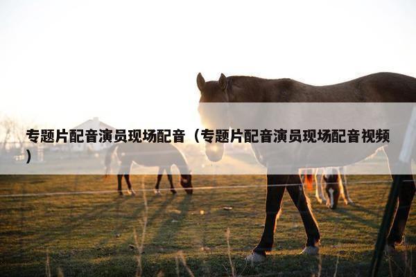 专题片配音演员现场配音（专题片配音演员现场配音视频）