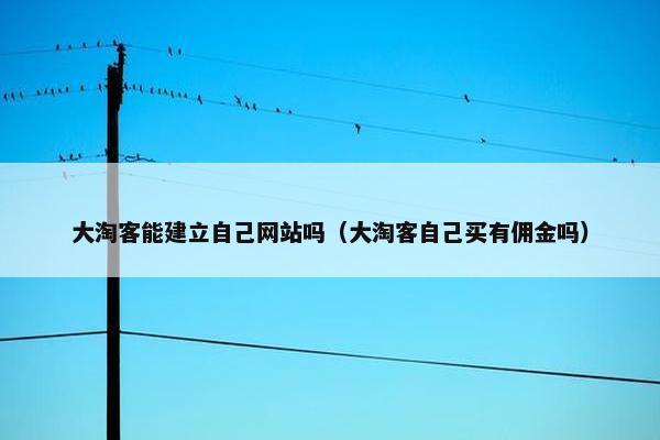 大淘客能建立自己网站吗（大淘客自己买有佣金吗）