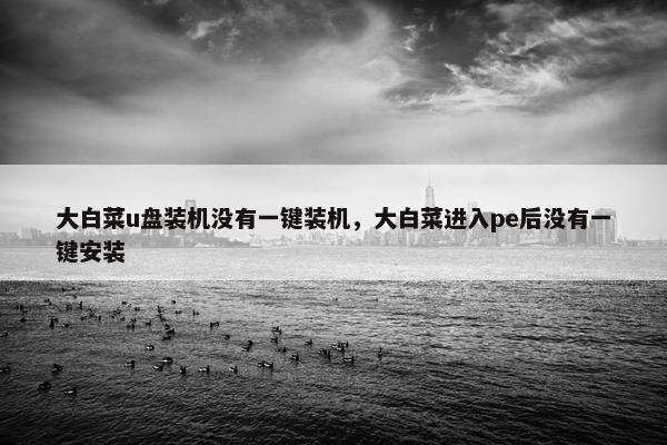 大白菜u盘装机没有一键装机，大白菜进入pe后没有一键安装