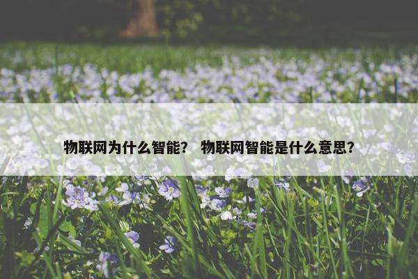 物联网为什么智能？ 物联网智能是什么意思？
