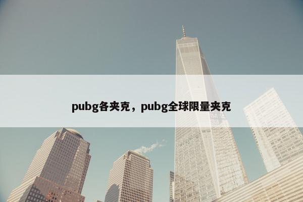 pubg各夹克，pubg全球限量夹克