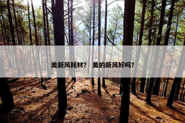 美新风耗材？ 美的新风好吗？