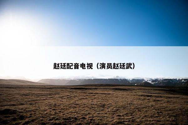 赵廷配音电视（演员赵廷武）