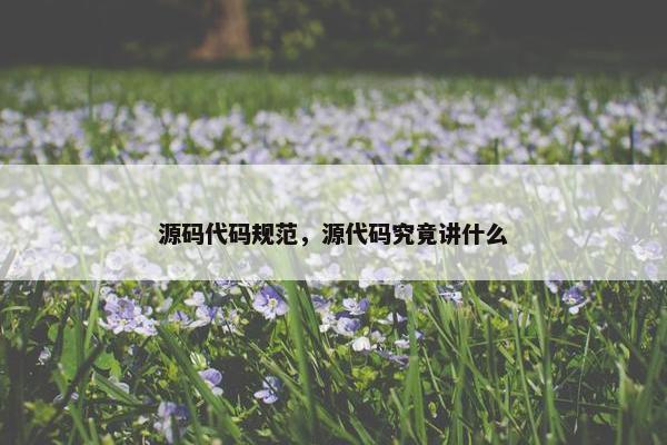 源码代码规范，源代码究竟讲什么
