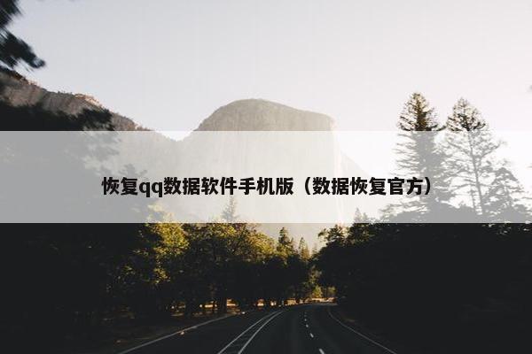 恢复qq数据软件手机版（数据恢复官方）