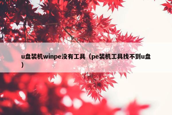 u盘装机winpe没有工具（pe装机工具找不到u盘）