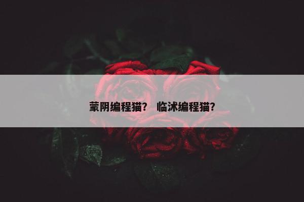 蒙阴编程猫？ 临沭编程猫？