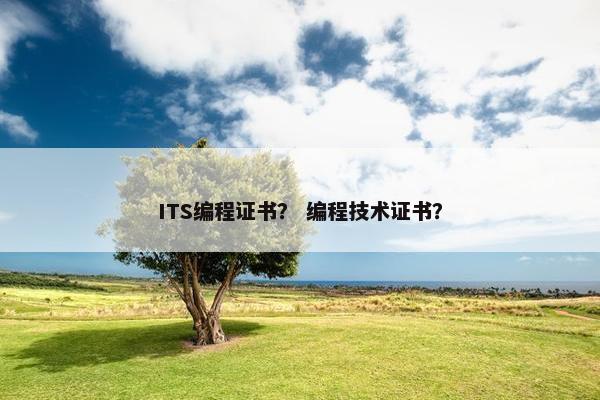 ITS编程证书？ 编程技术证书？