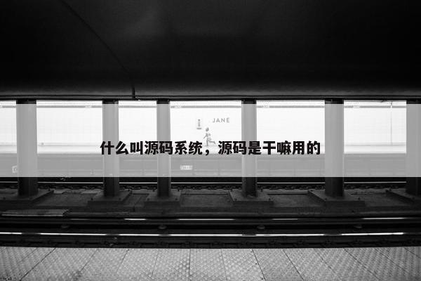 什么叫源码系统，源码是干嘛用的