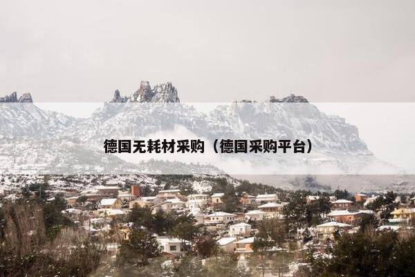 德国无耗材采购（德国采购平台）