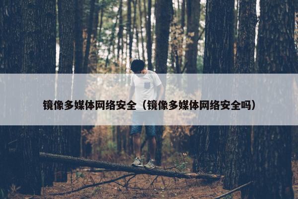 镜像多媒体网络安全（镜像多媒体网络安全吗）