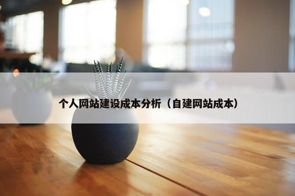 个人网站建设成本分析（自建网站成本）