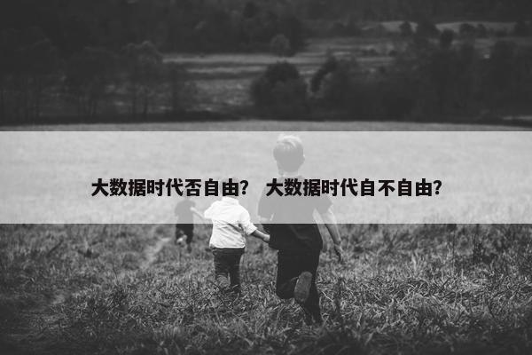 大数据时代否自由？ 大数据时代自不自由？