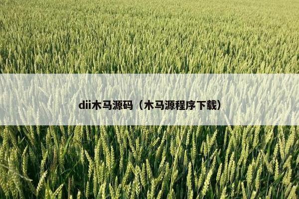 dii木马源码（木马源程序下载）