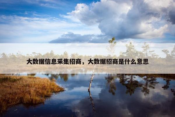 大数据信息采集招商，大数据招商是什么意思
