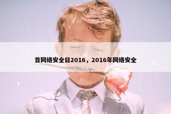首网络安全日2016，2016年网络安全