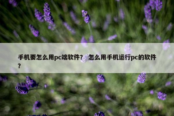 手机要怎么用pc端软件？ 怎么用手机运行pc的软件？