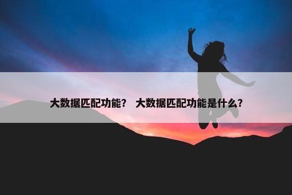 大数据匹配功能？ 大数据匹配功能是什么？