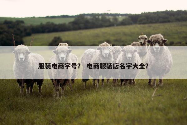 服装电商字号？ 电商服装店名字大全？