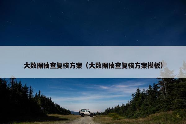 大数据抽查复核方案（大数据抽查复核方案模板）