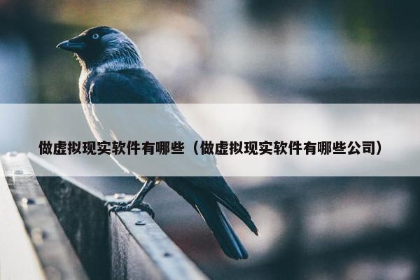 做虚拟现实软件有哪些（做虚拟现实软件有哪些公司）