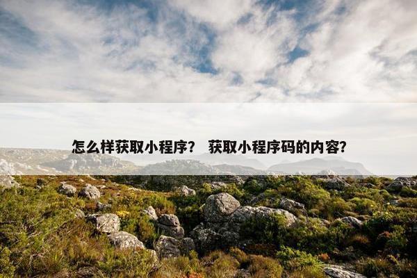 怎么样获取小程序？ 获取小程序码的内容？