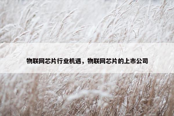 物联网芯片行业机遇，物联网芯片的上市公司