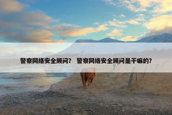 警察网络安全顾问？ 警察网络安全顾问是干嘛的？