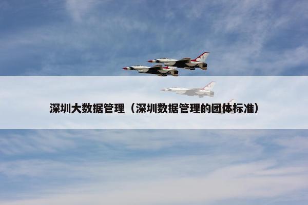 深圳大数据管理（深圳数据管理的团体标准）