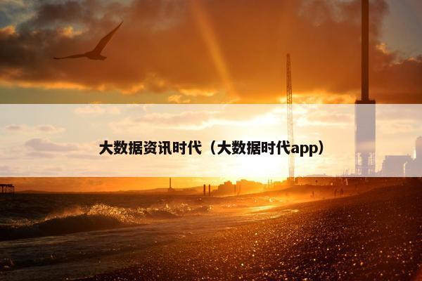 大数据资讯时代（大数据时代app）