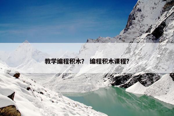 教学编程积木？ 编程积木课程？