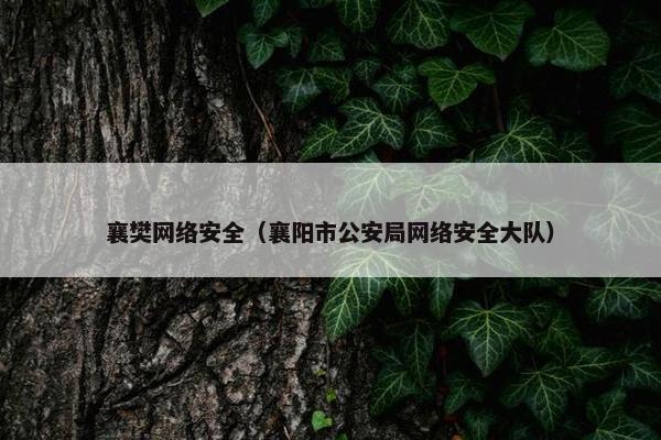 襄樊网络安全（襄阳市公安局网络安全大队）