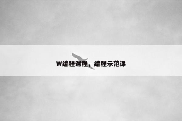 W编程课程，编程示范课
