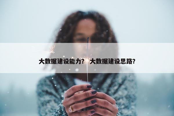 大数据建设能力？ 大数据建设思路？