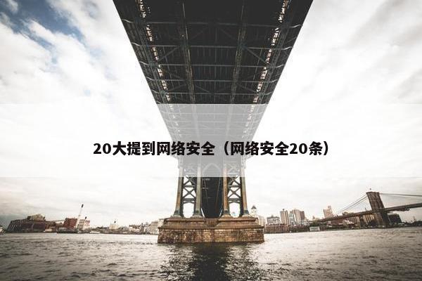 20大提到网络安全（网络安全20条）
