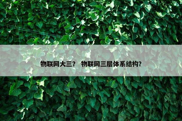 物联网大三？ 物联网三层体系结构？