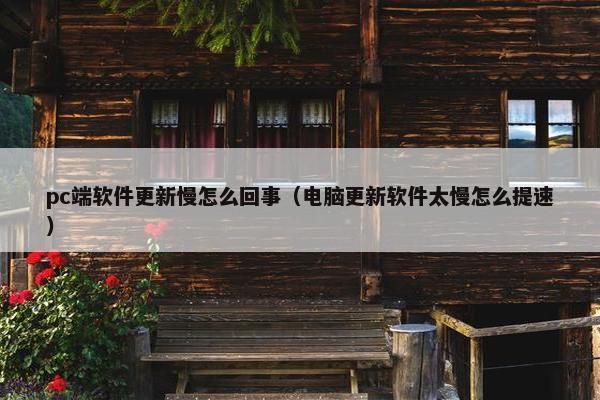 pc端软件更新慢怎么回事（电脑更新软件太慢怎么提速）