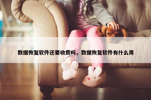 数据恢复软件还要收费吗，数据恢复软件有什么用