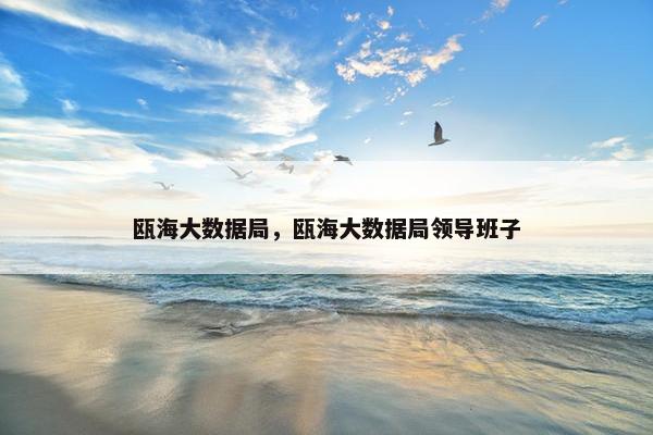 瓯海大数据局，瓯海大数据局领导班子