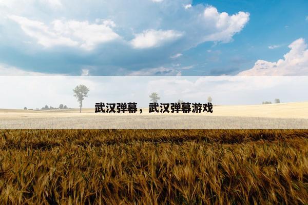 武汉弹幕，武汉弹幕游戏