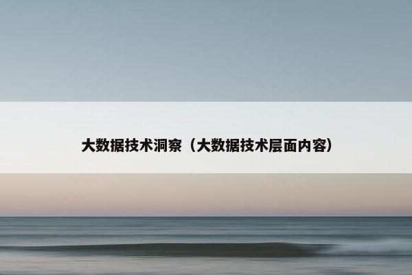 大数据技术洞察（大数据技术层面内容）