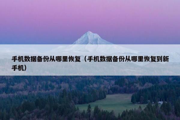 手机数据备份从哪里恢复（手机数据备份从哪里恢复到新手机）
